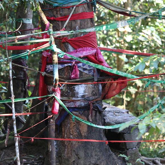מדגסקר: האי היפה והעצוב