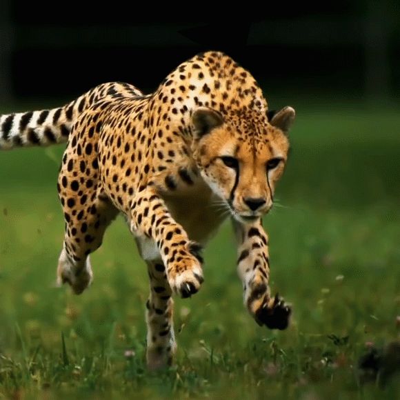 מדע בהשראת הטבע