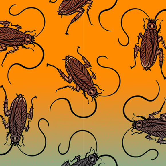 כמה תיקונים על תיקנים