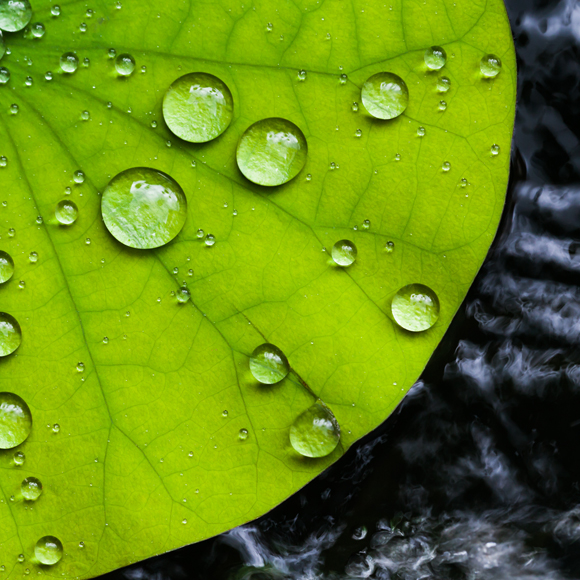 كيف تعمل المواد الطّاردة للماء؟