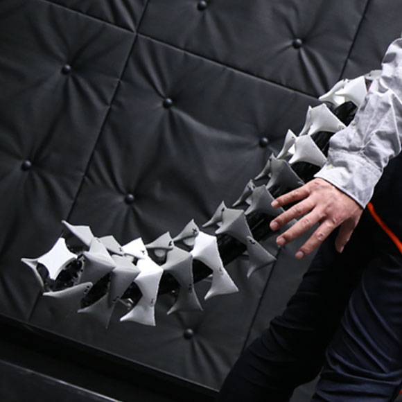 מי רוצה זנב רובוטי?