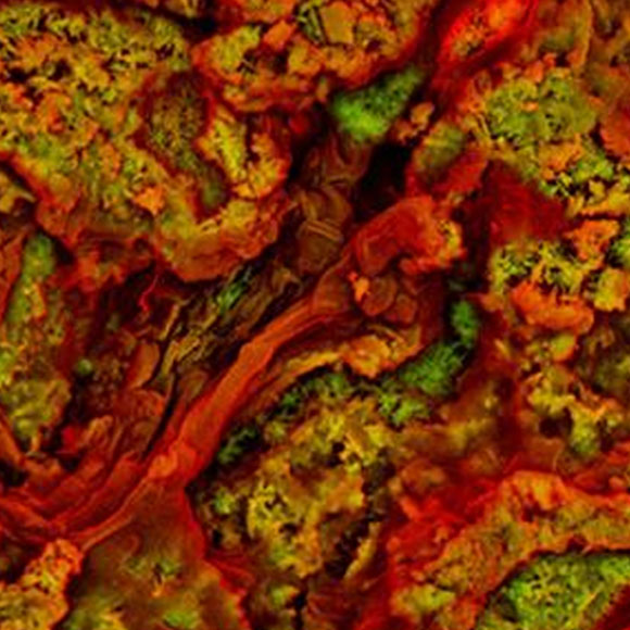 הדרך לפארק היורה: לא DNA – חלבון