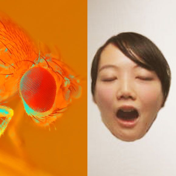 מהנשמדע: מה היה חדש השבוע במדע?