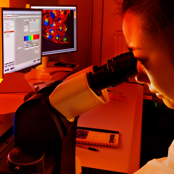 إشارة ضوئية للبكتيريا