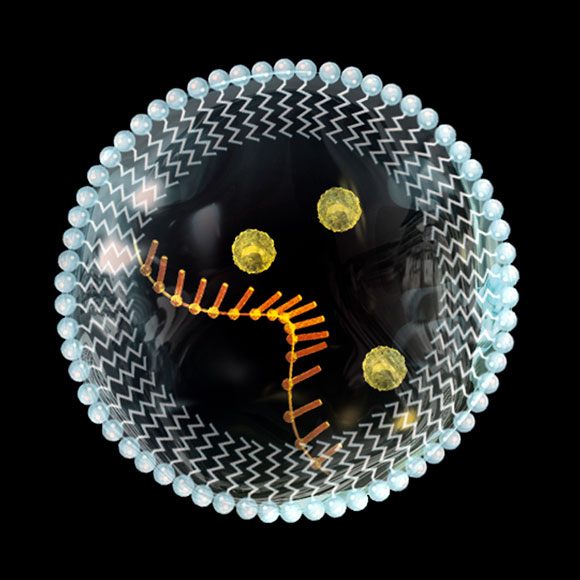 איך נוצרו התאים הראשונים? עם חלבון