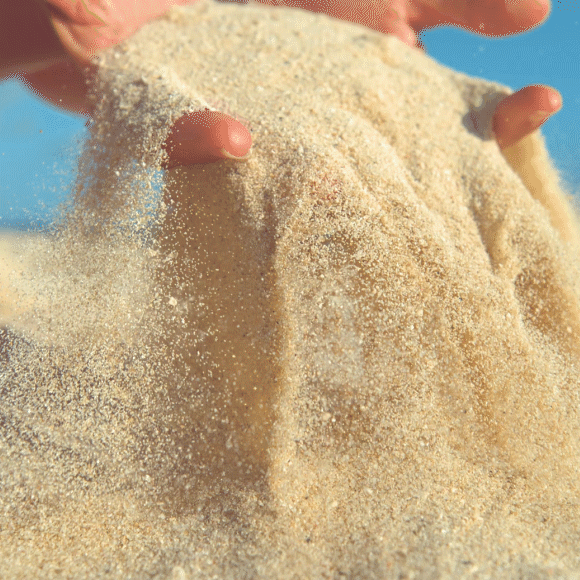 כחול האוזל על שפת הים