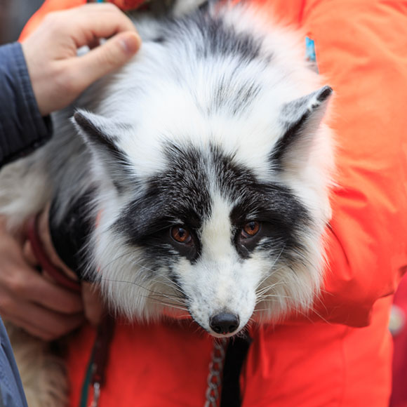 כמה טוב שבאת הביתה