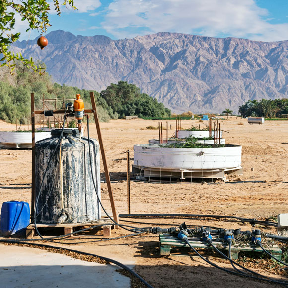 סודות מי התהום העתיקים