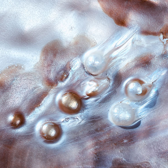 זכוכית עמידה בהשראת פנינים