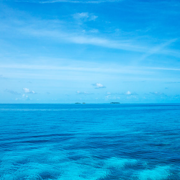 למה הים כחול?