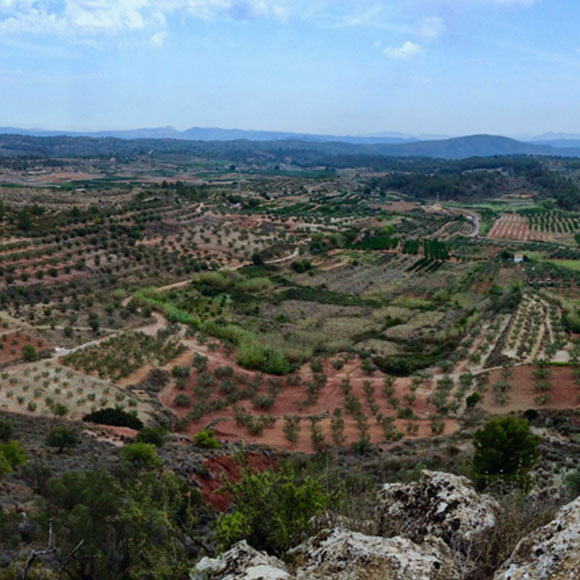 משנים את הסביבה, כבר 3,000 שנה