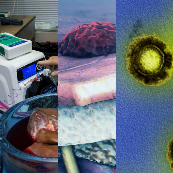 מהנשמדע: מה היה חדש השבוע במדע?