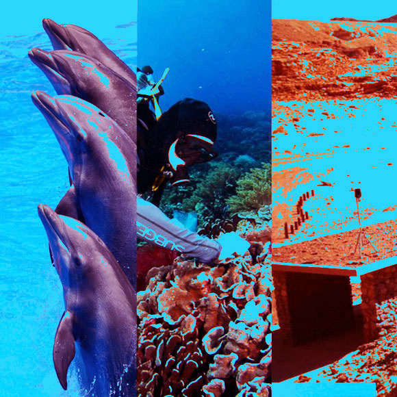 מהנשמדע: מה היה חדש השבוע במדע?