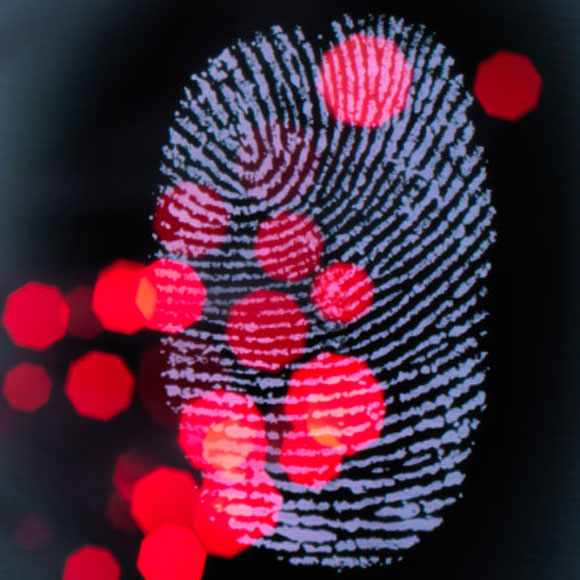 כמו שתי טביעות אצבע