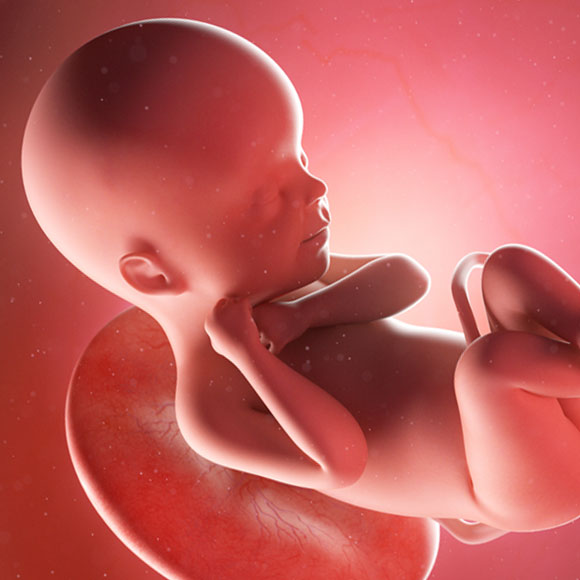 היכן החל המפץ הגדול? שטיפת מוח 102