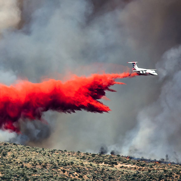 חומר צמחי נגד שריפות