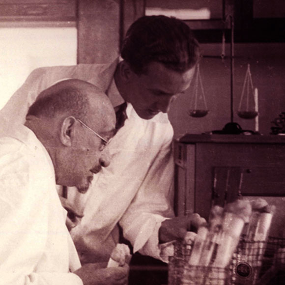 משני צידי המתרס