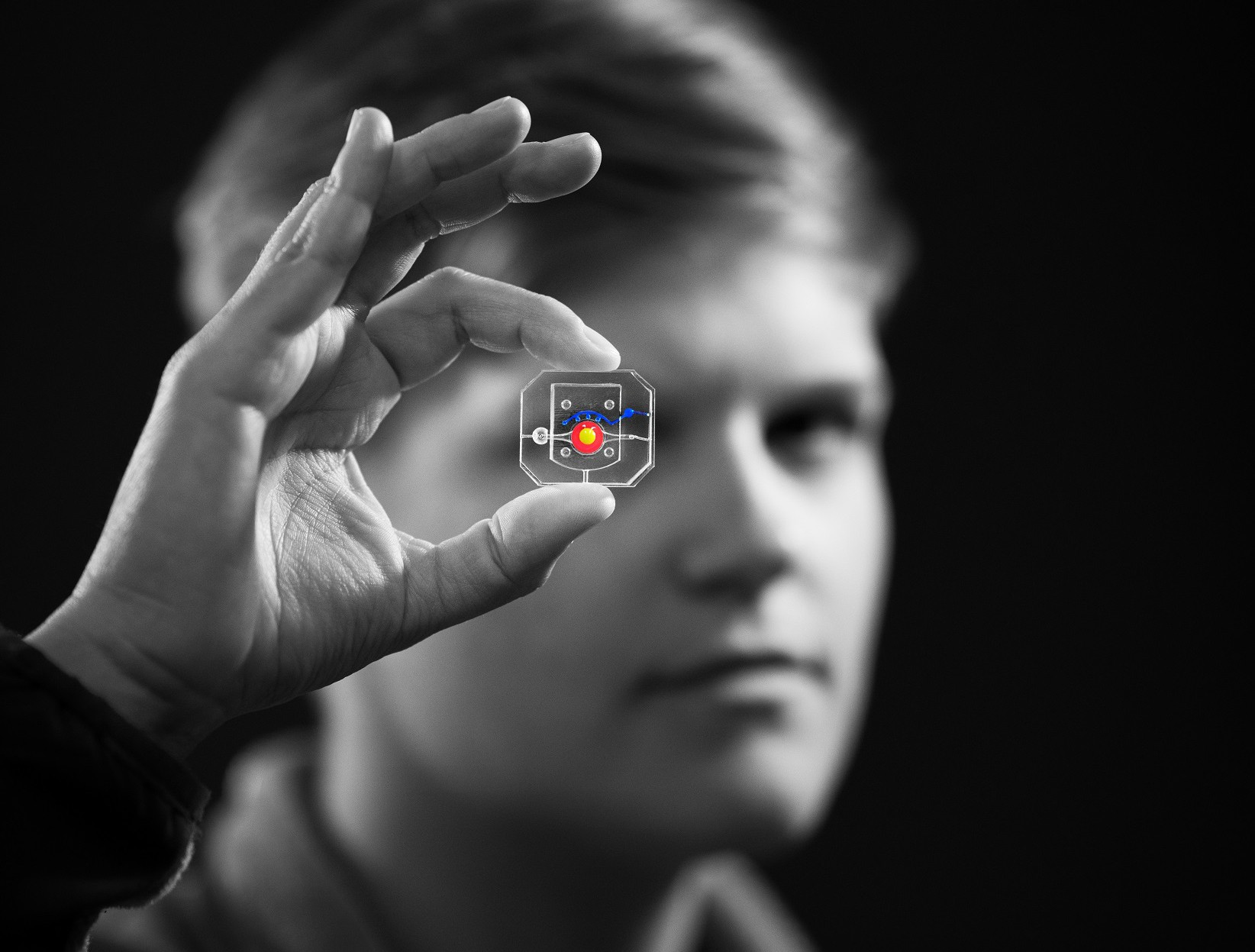 עושים עיניים על שבב