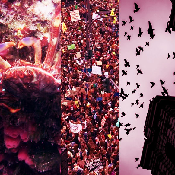 מהנשמדע: מחקרים חדשים מהשבועות האחרונים