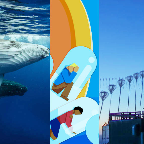 מהנשמדע: מה היה חדש השבוע במדע?