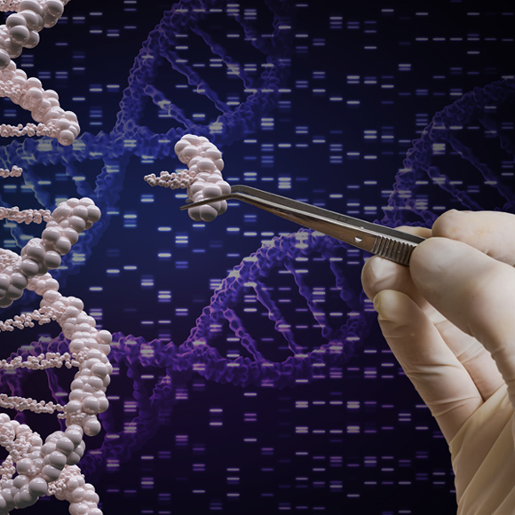 עריכה גנטית: הדור הבא?