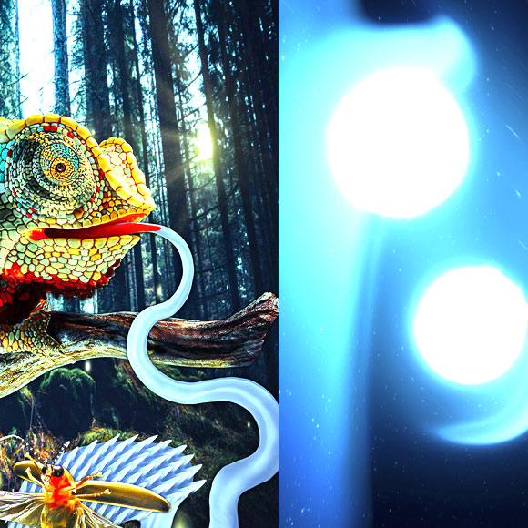 מהנשמדע: מה היה חדש השבוע במדע?