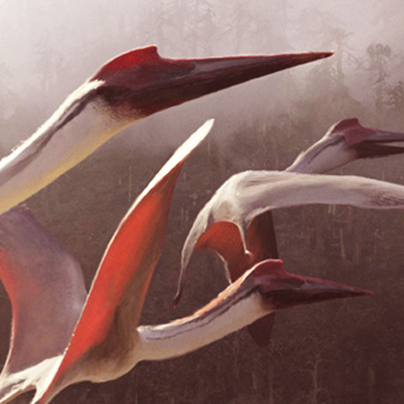 מפלצות בשמי המזוזואיקון