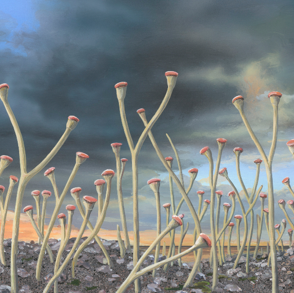 הצמחים עלו ליבשה בעזרת חיידקים