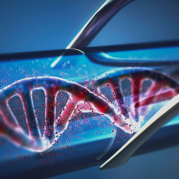 הזיכרון המשוכלל של ה-DNA