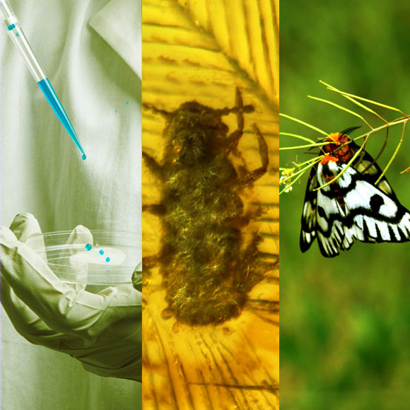 מהנשמדע 19/12 – מחקרים חדשים ביותר