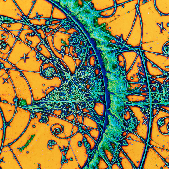 הברירה הטבעית של הקוונטים