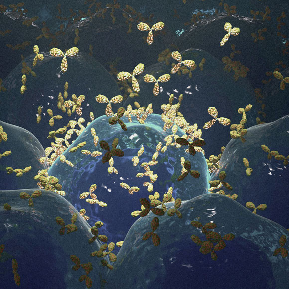 לנוגדן שלי שלוש פינות