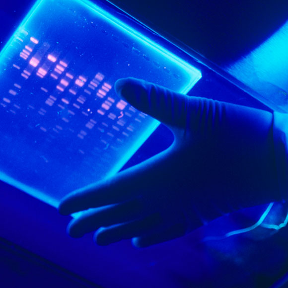 טיפול גנטי משולב נגד כמה מחלות זקנה