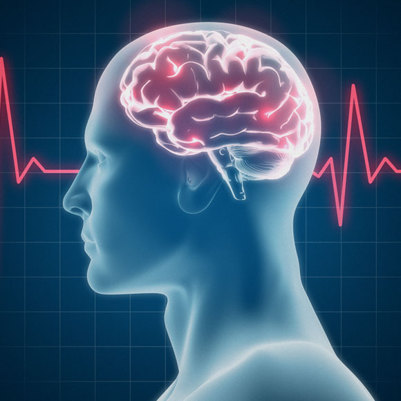 הגלים ש”ישטפו” את המוח