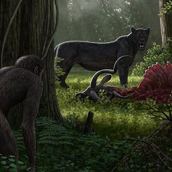 ההכחדה הראשונה שלנו