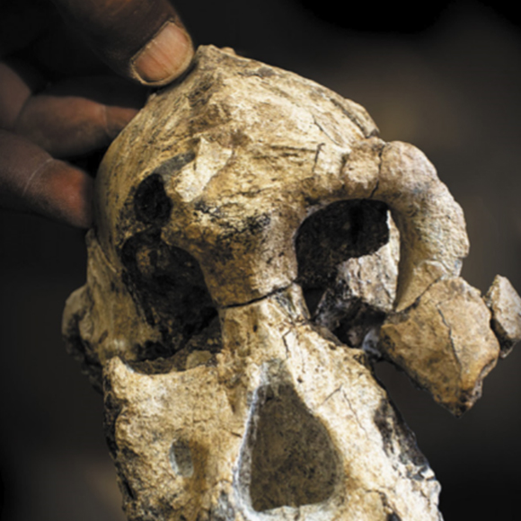 פנים מהעבר הרחוק