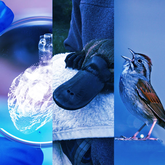 מהנשמדע 24/1 – מחקרים חדשים ביותר