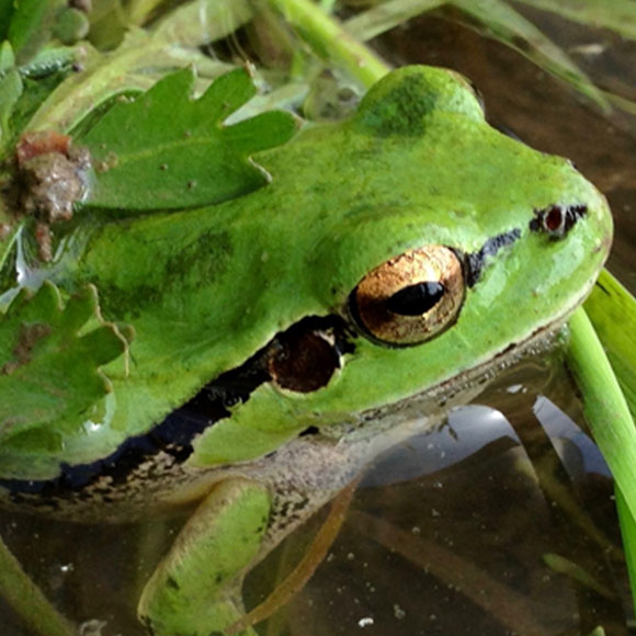 לוקחים אוויר בבריכת החורף