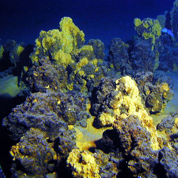 אור חדש על החיים המורכבים