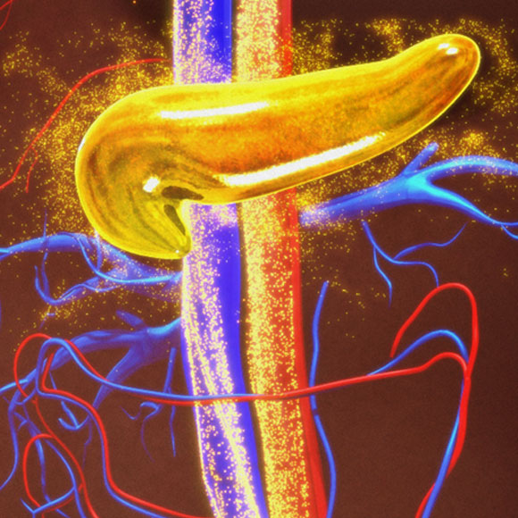 לטפל בסוכרת בעזרת הצבע הכחול