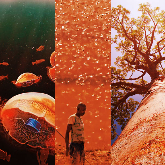 מהנשמדע 7/2 – מחקרים חדשים ביותר