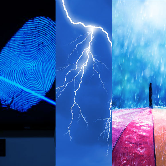 מהנשמדע 21/2 – מחקרים חדשים ביותר