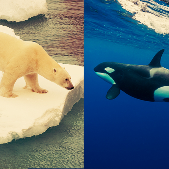 מהנשמדע 29/2 – מחקרים חדשים ביותר