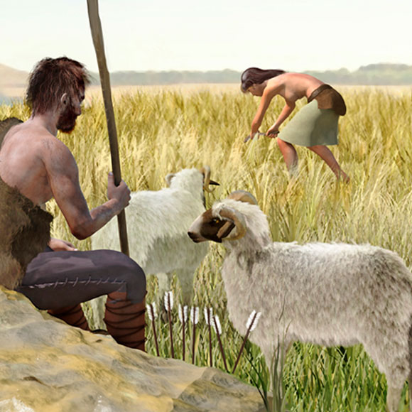 מדוע התחוללה המהפכה הגדולה?