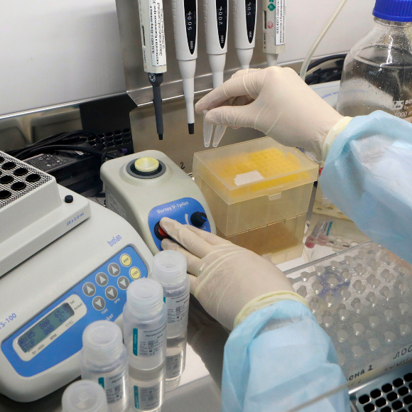 מוכן לניסוי: חיסון ראשון נגד נגיף הקורונה החדש