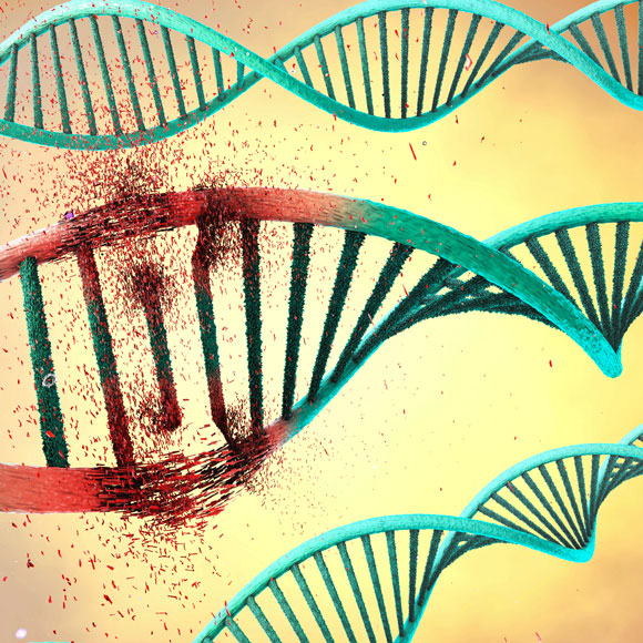 מה הקשר בין סוכרת לסרטן?