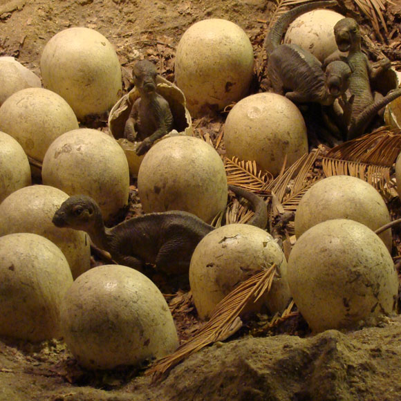 הדם החם של הדינוזאורים