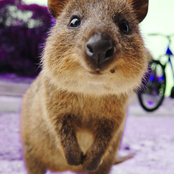 האוכל נשאר במשפחה