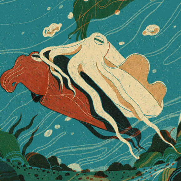 הונאה פראית