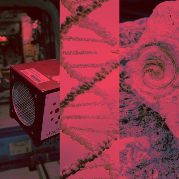 מנשמדע 13/3 – מחקרים חדשים ביותר